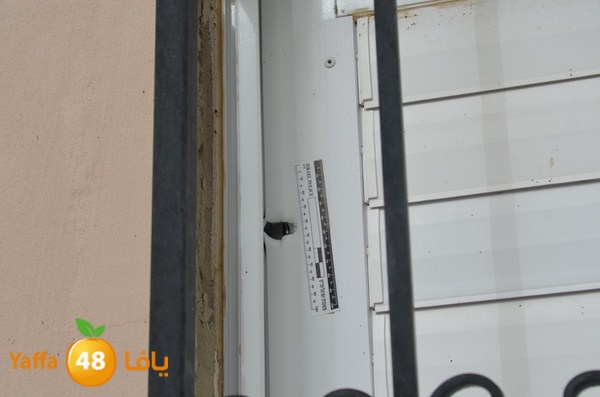 baz video391 (4) (Copy).JPG